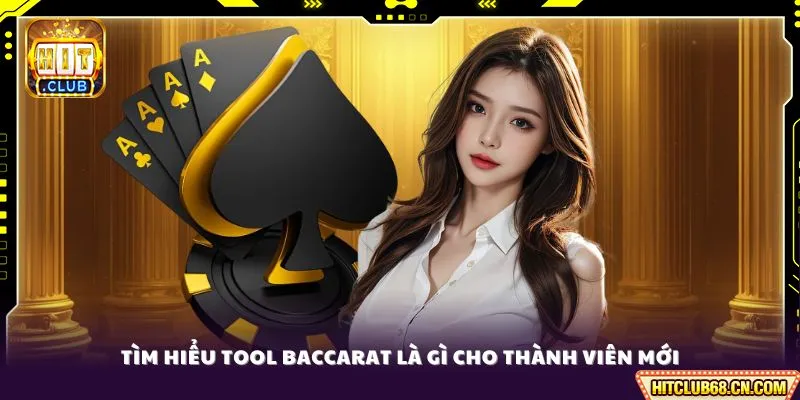 Tool Baccarat Là Gì - Hướng Dẫn Cách Sử Dụng Chi Tiết 2 Tìm hiểu Tool Baccarat là gì cho thành viên mới