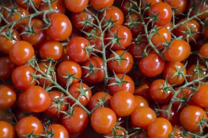 tomaten-veiling-tuinder  